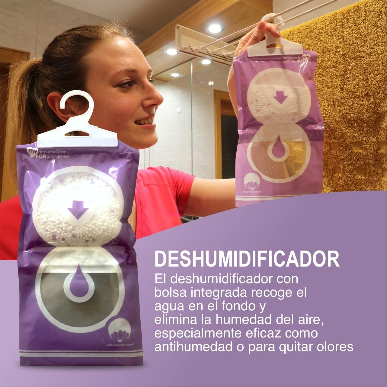 Foto del Deshumidificador