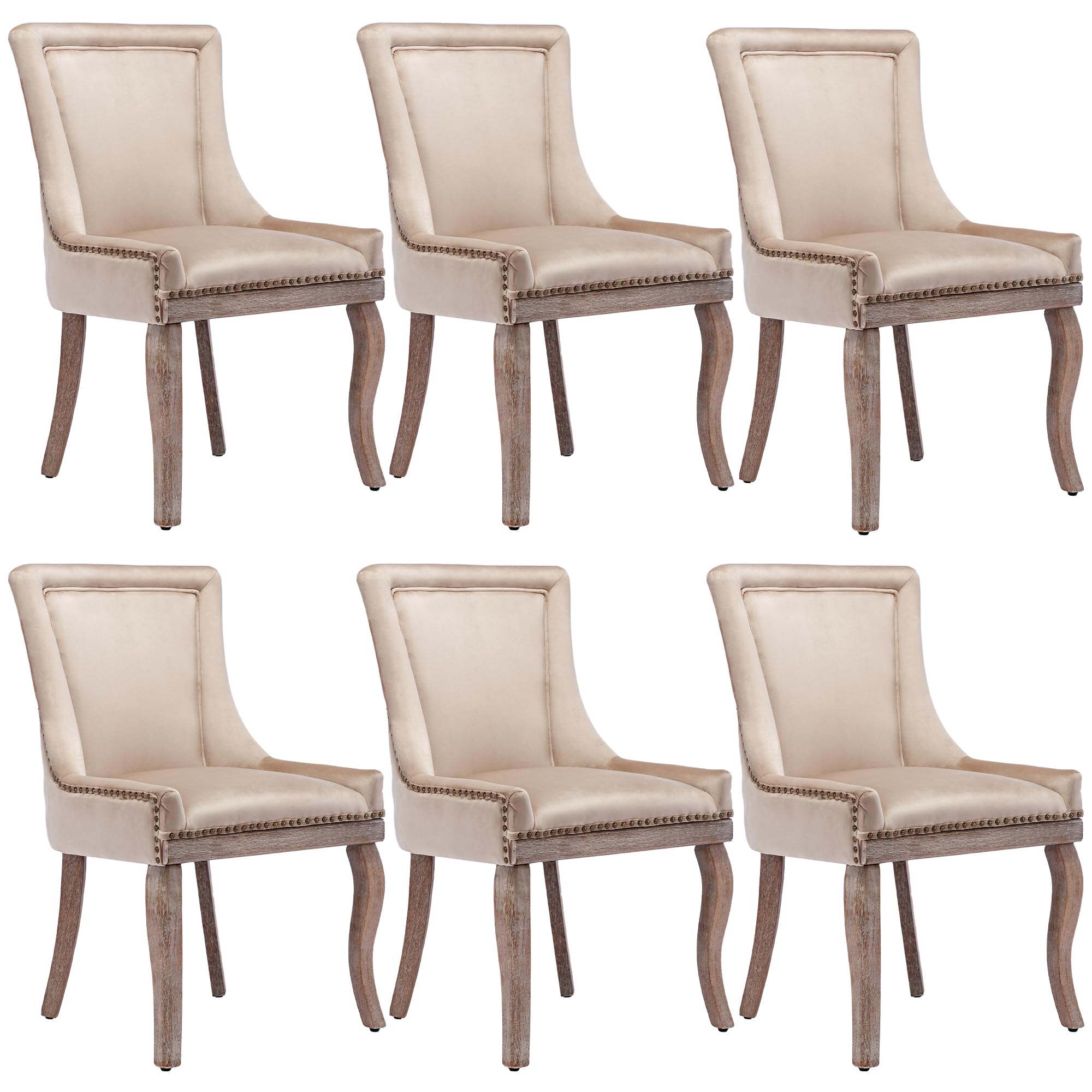 Lot de 6 chaises de salle à manger de luxe rembourrées avec tête cloutée et pieds en bois massif, housse en velours, beige