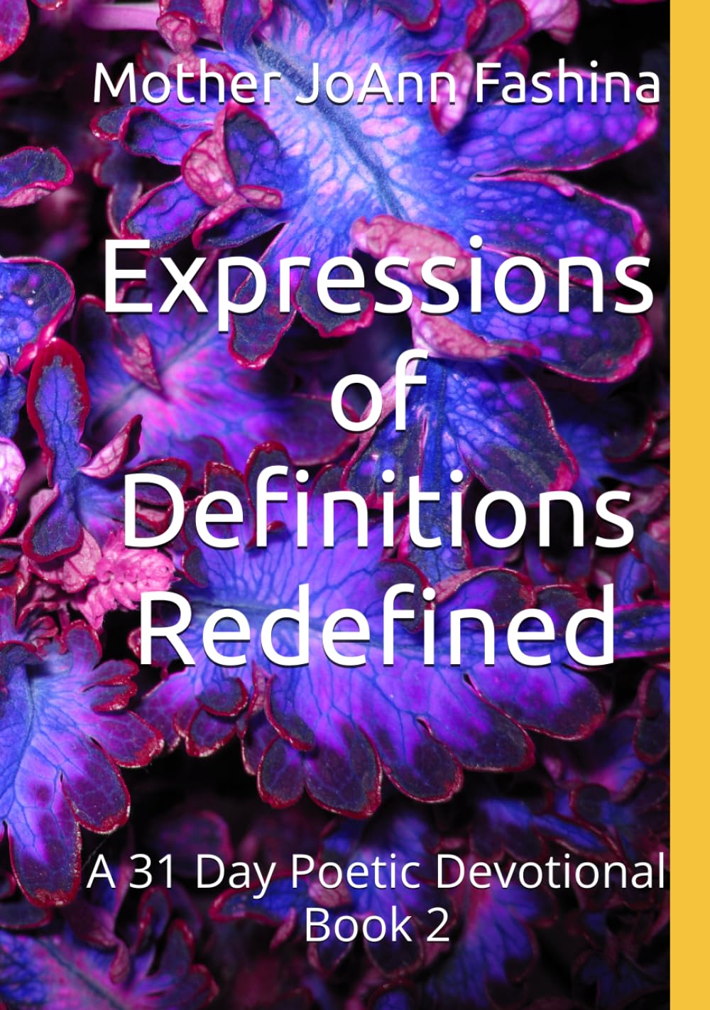 Expressions of Definitions Redefined: A 31 Day Poetic Devotional Book 2