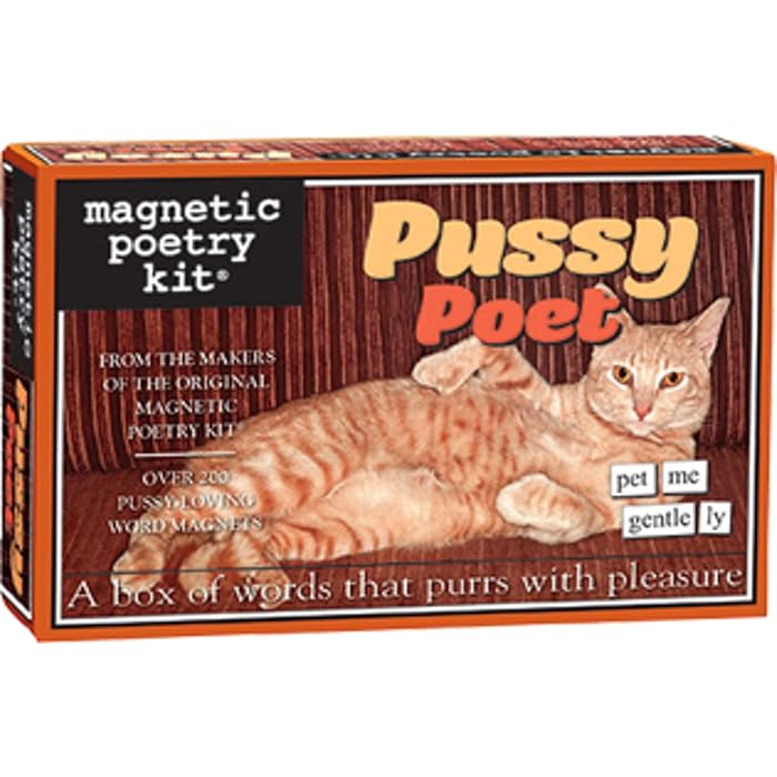 Buy Poetry Pussy Poet Kit Words for Refrigerator Write