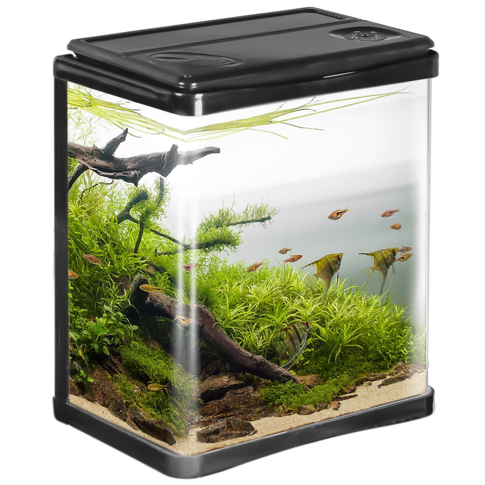 Arona – Elegante Juego de Acuario de 3 litros en Negro – Juego Completo con Filtro, iluminación LED y Cubierta – Ideal para Principiantes, Oficina y hogar