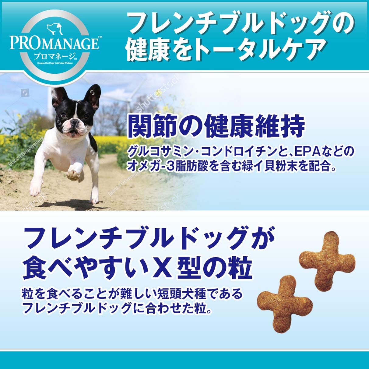 Amazon.co.jp: プロマネージ ドッグフード 成犬用 フレンチブルドッグ
