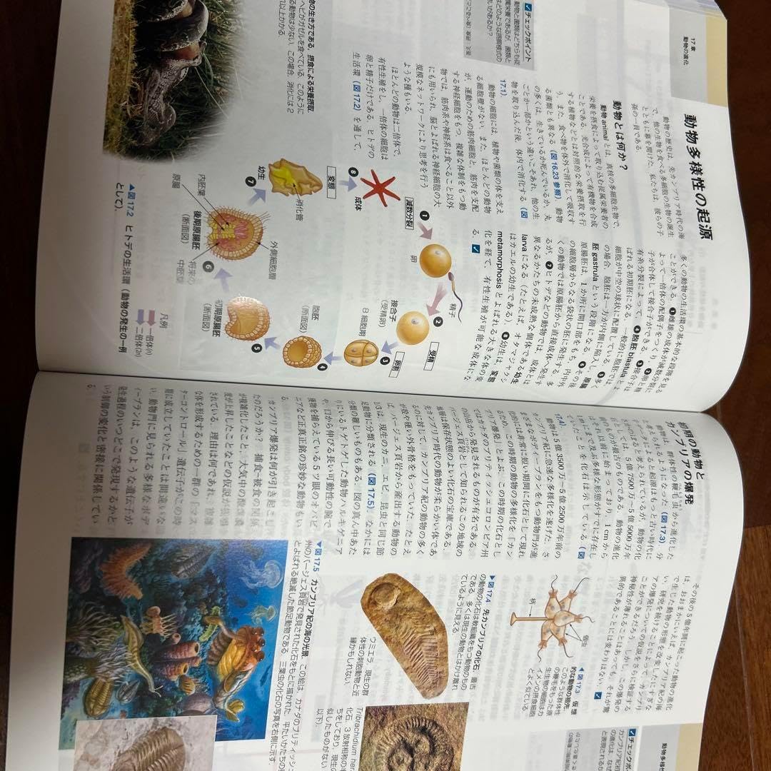 キャンベル生物学 キャンベル生物学 第11版 美品(5⁄5まで) キャンベル