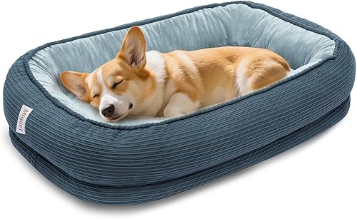 Miniatura 11 de Cama ortopédica para perros pequeña, lavable, cama de espuma para gatos mayores, cama ovalada para perreras, sofá cama para mascotas con refuerzo de