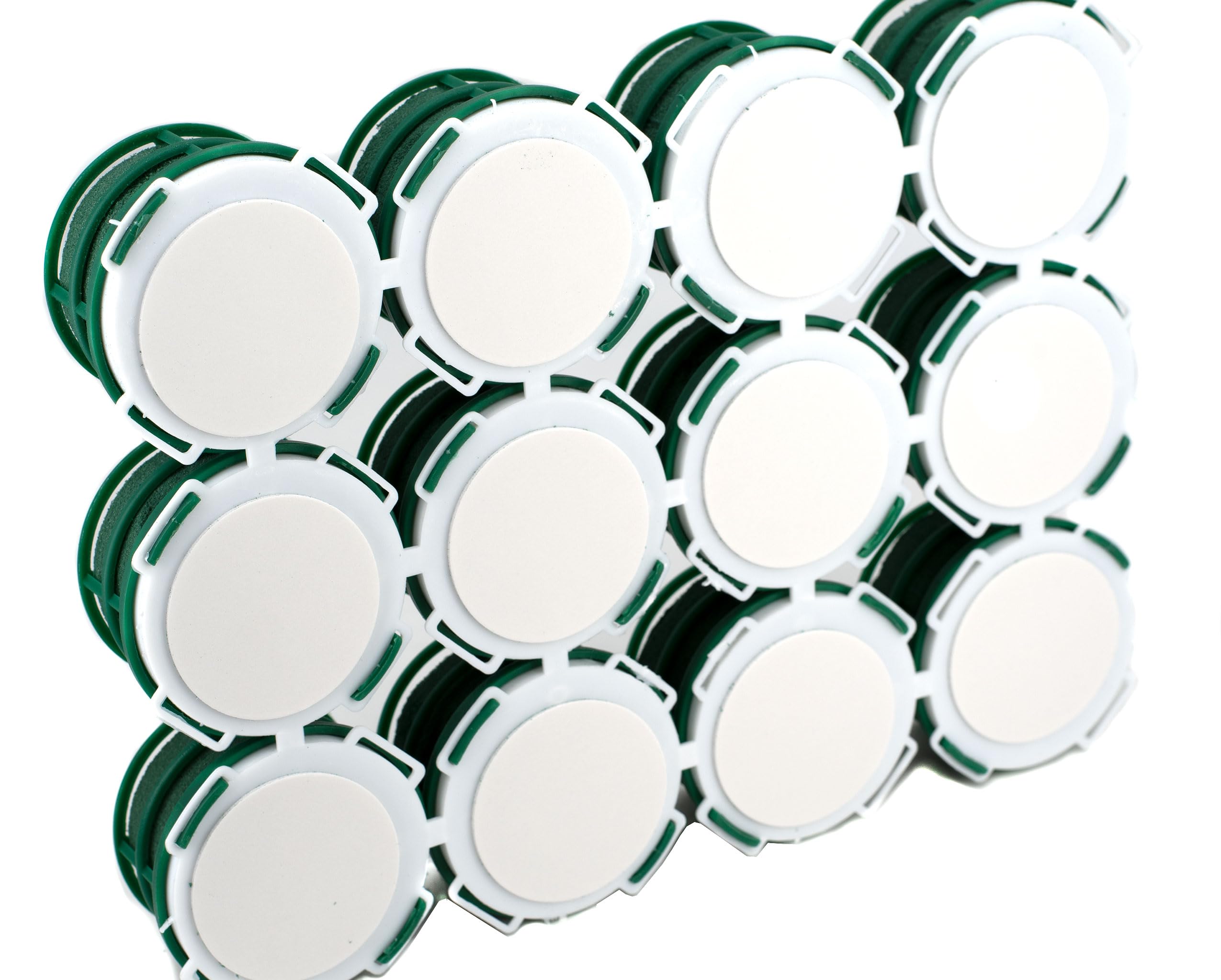Schiuma bagnata, rotonda, 5 x 4 cm, autoadesiva, con griglia, 12 pezzi – per fioristi e hobbisti – Spugna per fiori freschi – Pasta per fiori – Accessori floreali & forniture floreali verde