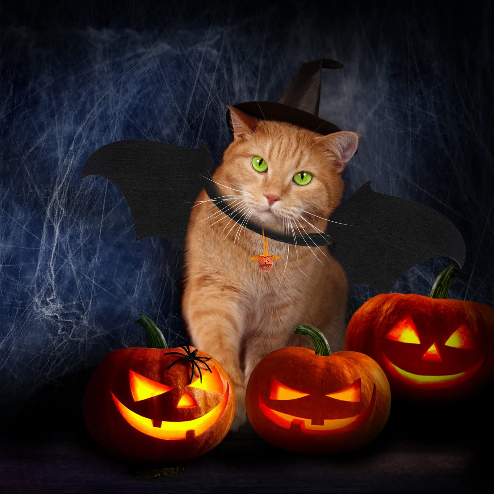 Fledermausflügel Für Haustiere, Katzen, Halloween-Party-Dekoration