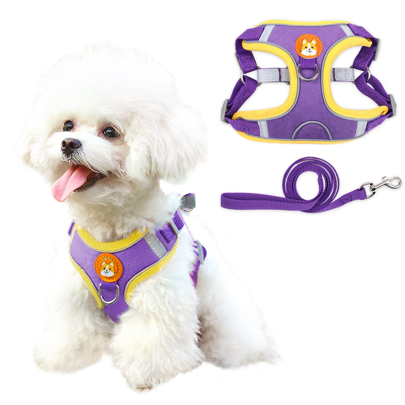 Patas Lague No Pull Dog Harness with Leash Set, Adjustable Reflective Dog Vest Harness for Large Dogs, Step-in Pet Harness with Soft Padded Vest (Purple)