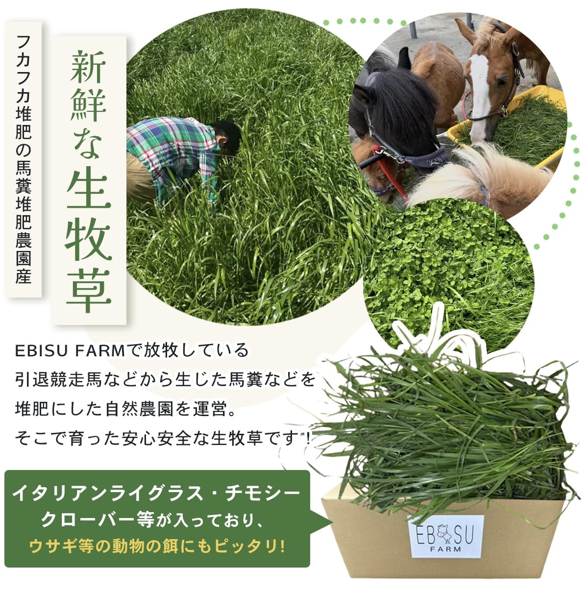 Amazon | 生牧草 国産とれたて 大容量 (イタリアンライグラス