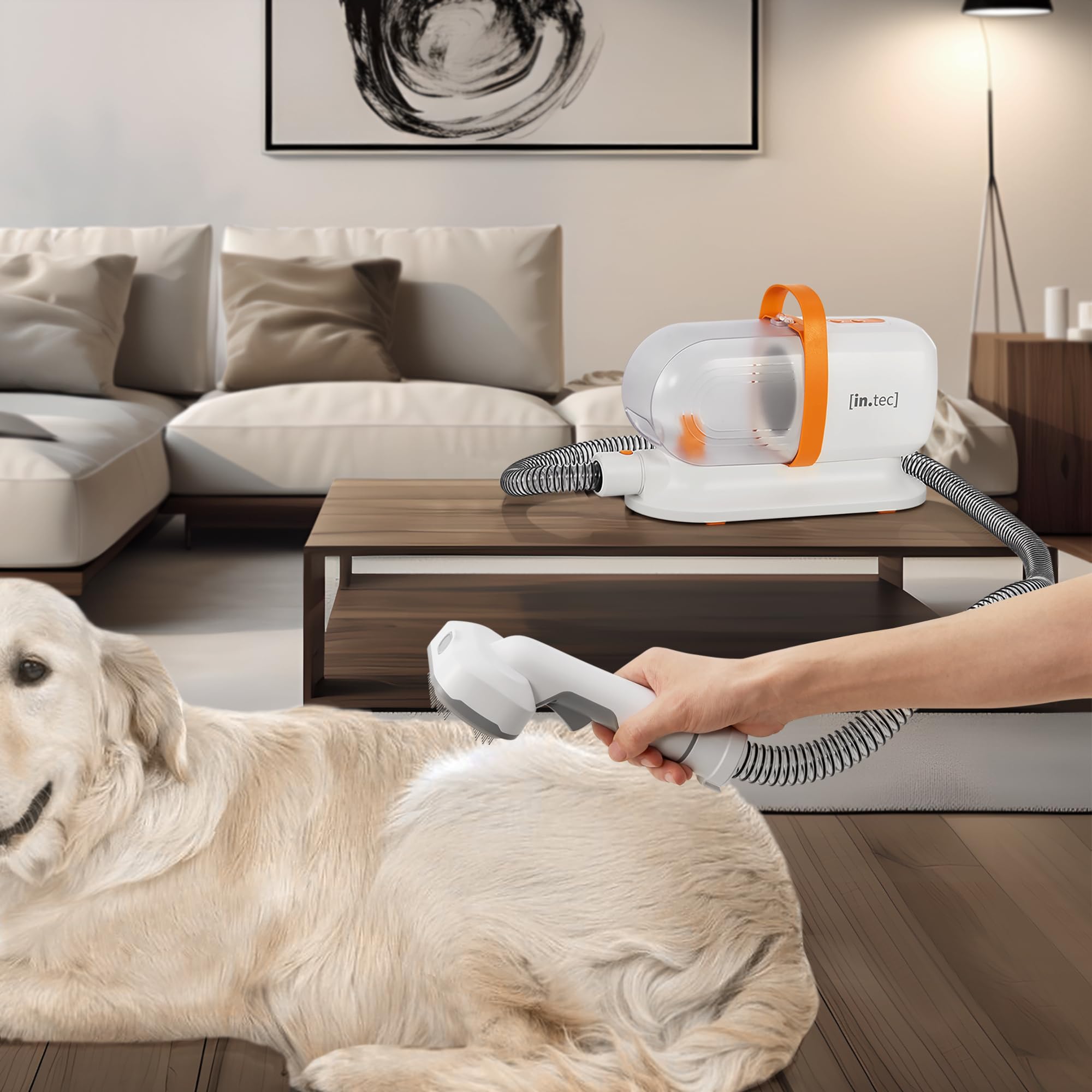 in.tec Tondeuse pour Chien avec Aspirateur Kit de Toilettage 5 en 1 avec Peignes Brosses 3 Modes d'Aspiration Tuyau de Séchage Plastique Métal 23 x 33 x 14 cm Blanc Orange