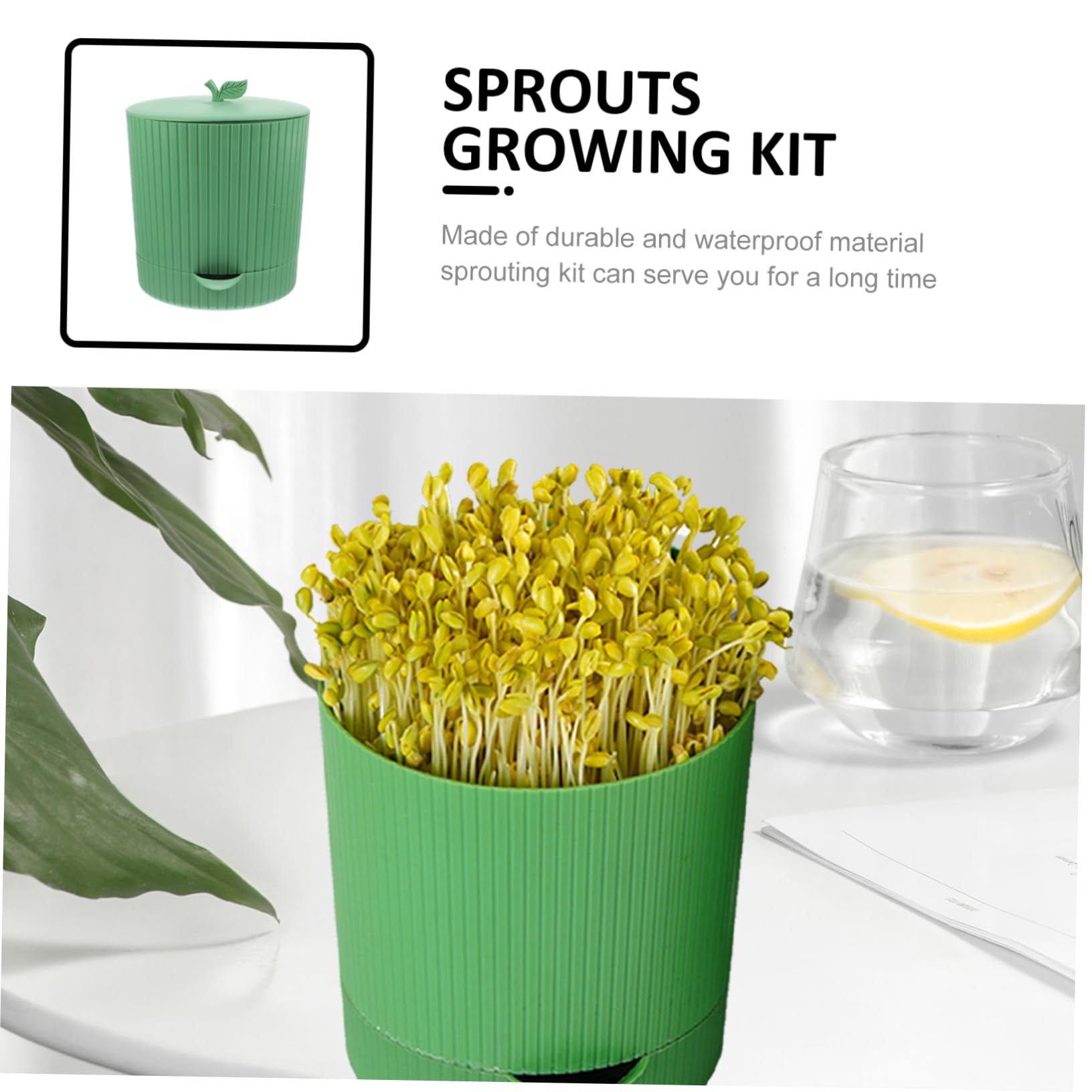 Toddmomy Kit de Frasco de Germinación para Brotes de Soja Verde, 1 Juego | Pp y Piedra, Diseño Transpirable Salida de Agua, para Frijoles Rojos y Mungo