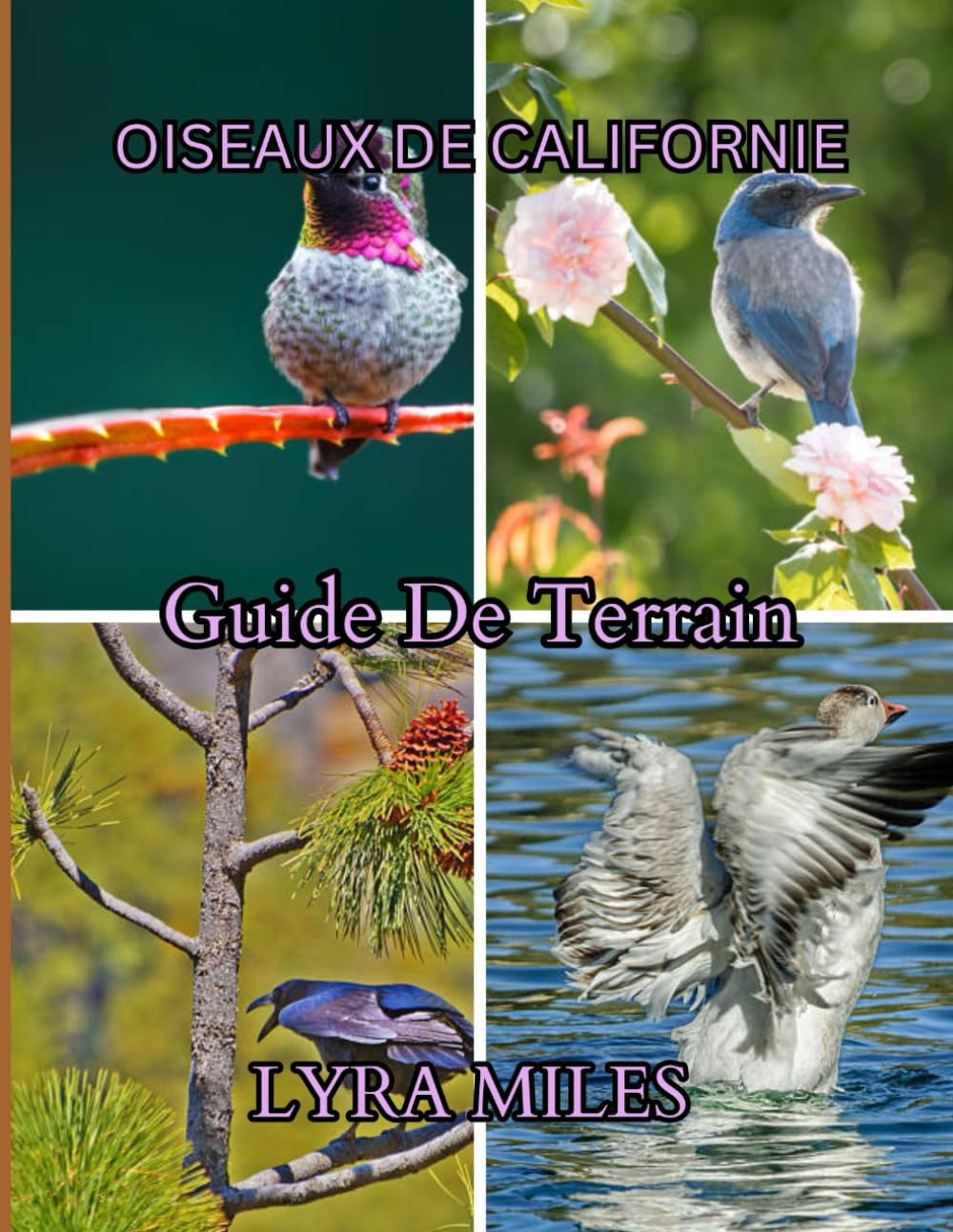 Guide d'identification des oiseaux de Californie: Identification des oiseaux d'Arizona : découvrez les espèces, les habitudes et les comportements des ... montagnes, les zones humides et les jardins.