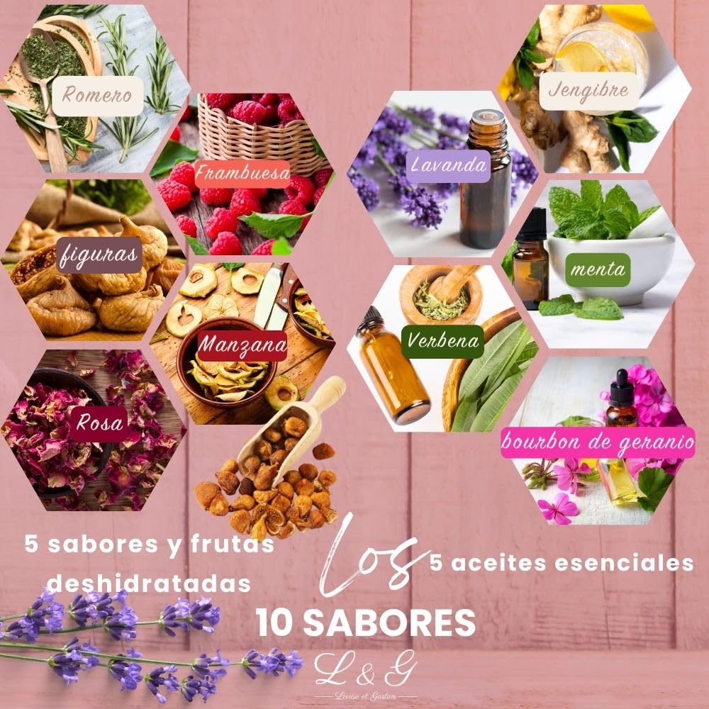 L&G® - Kit té preparación y degustación - Honeybush, Rooibos, Sancha Green, Maté - Infusores incluidos - Set de té DIY - Regalar Navidad, cumpleaños - Made in France - Ingredientes de calidad