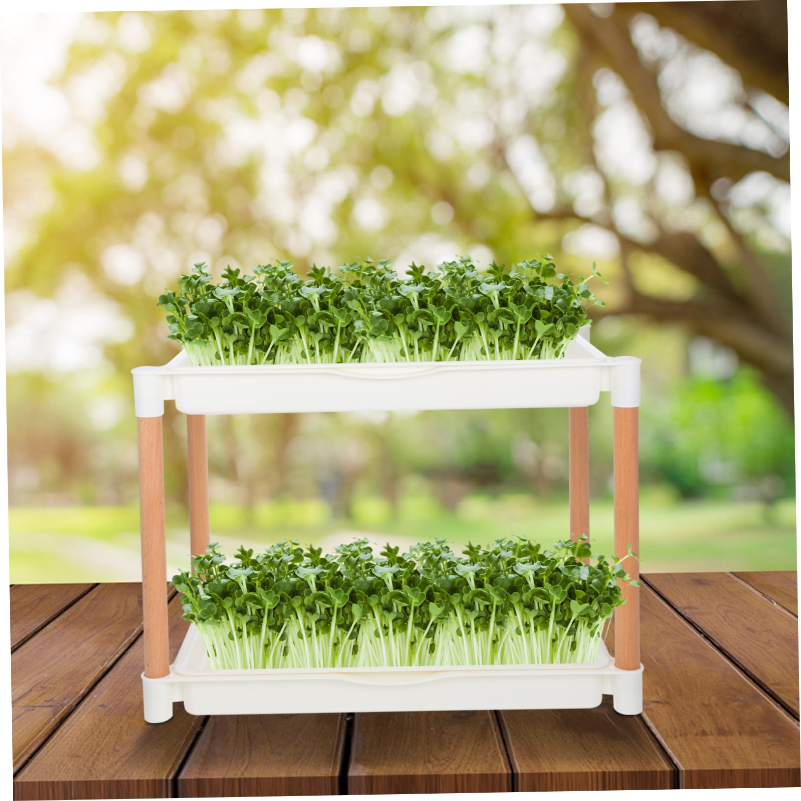TOYANDONA Keimschale Für Sprossen Microgreens-anzuchtschale Mit Maschenlöchern Anzuchtschale Aus Pp-Material Doppelschichtige Keimschale Für Sprossen-anzucht Erdlose Keimplatte Für Weizengra