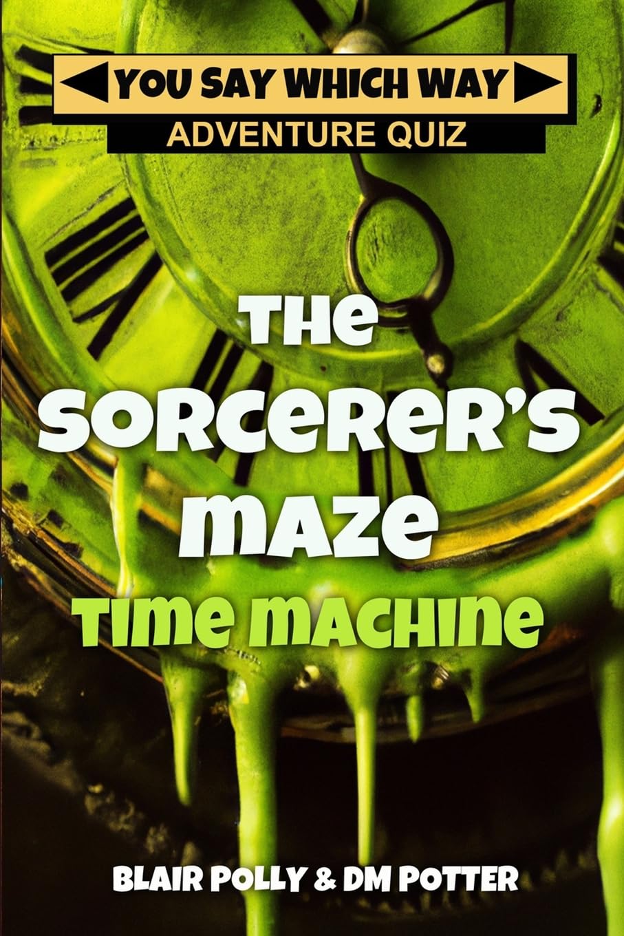 The Sorcerer's Maze Time Machine: Volume 2 (You Say Which Way Adventure Quiz)