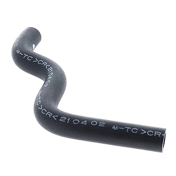 カホンコンガNalu カホンコンガNalu