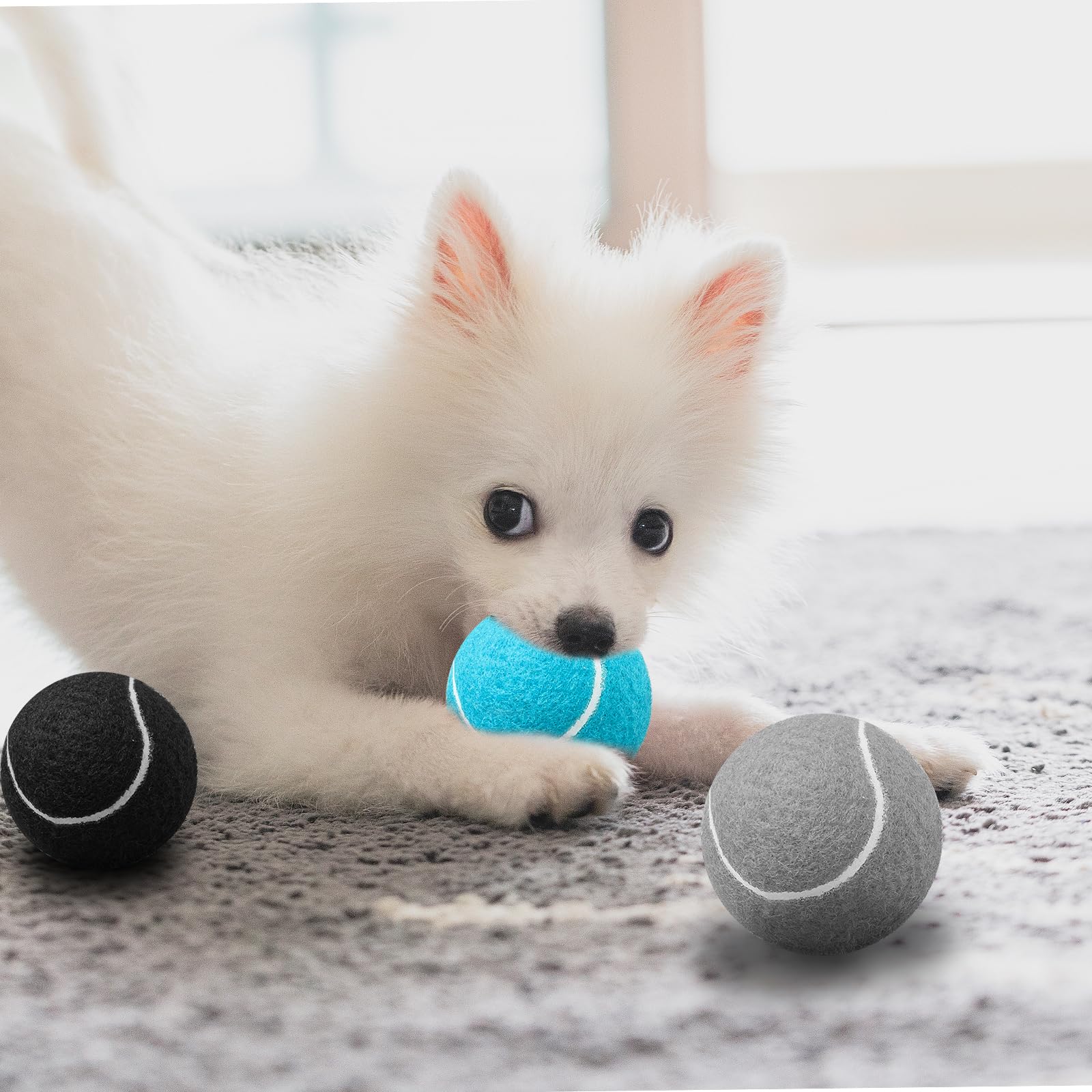 24 Stück Hunde-Tennisbälle, 6 cm, bunt, für Apportieren und Training | Farbiges Ballset für Wurfspiele, interaktives Spielen und tägliche Beschäftigung mit Hunden im Garten, Park oder Zuhause