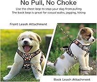 Vista 3 de Petmolico Juego de arnés para perro sin tirones, 2 correas de sujeción con asa de fácil control, chaleco reflectante para raza, arnés para perros