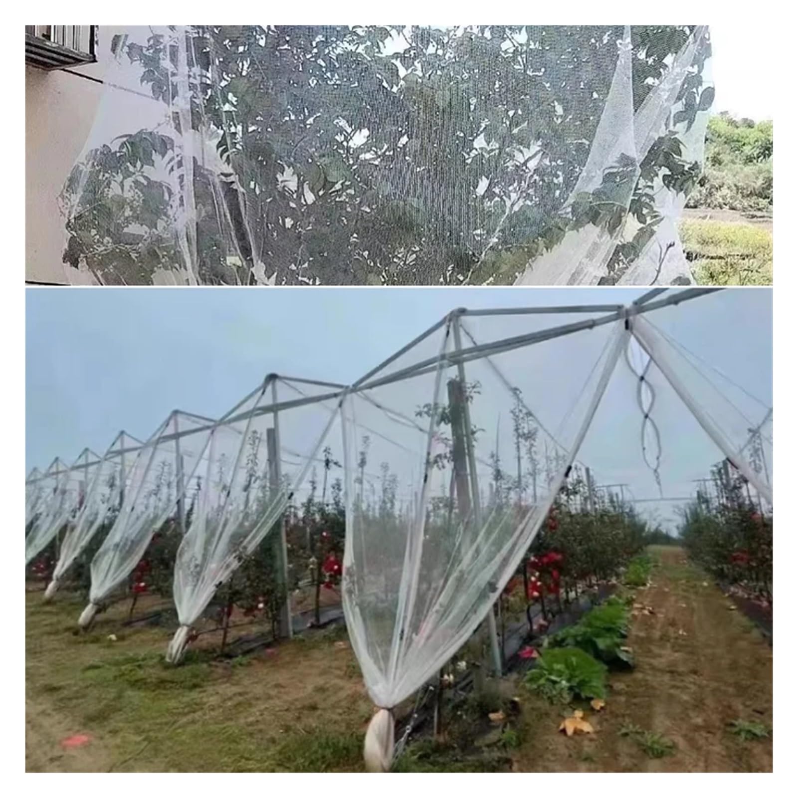 Red de nailon rojo para pájaros 0,5: ideal para proteger vides, árboles frutales y jardines (4 x 10 m) - Malla antipájaros duradera para un control eficaz de la vida silvestre