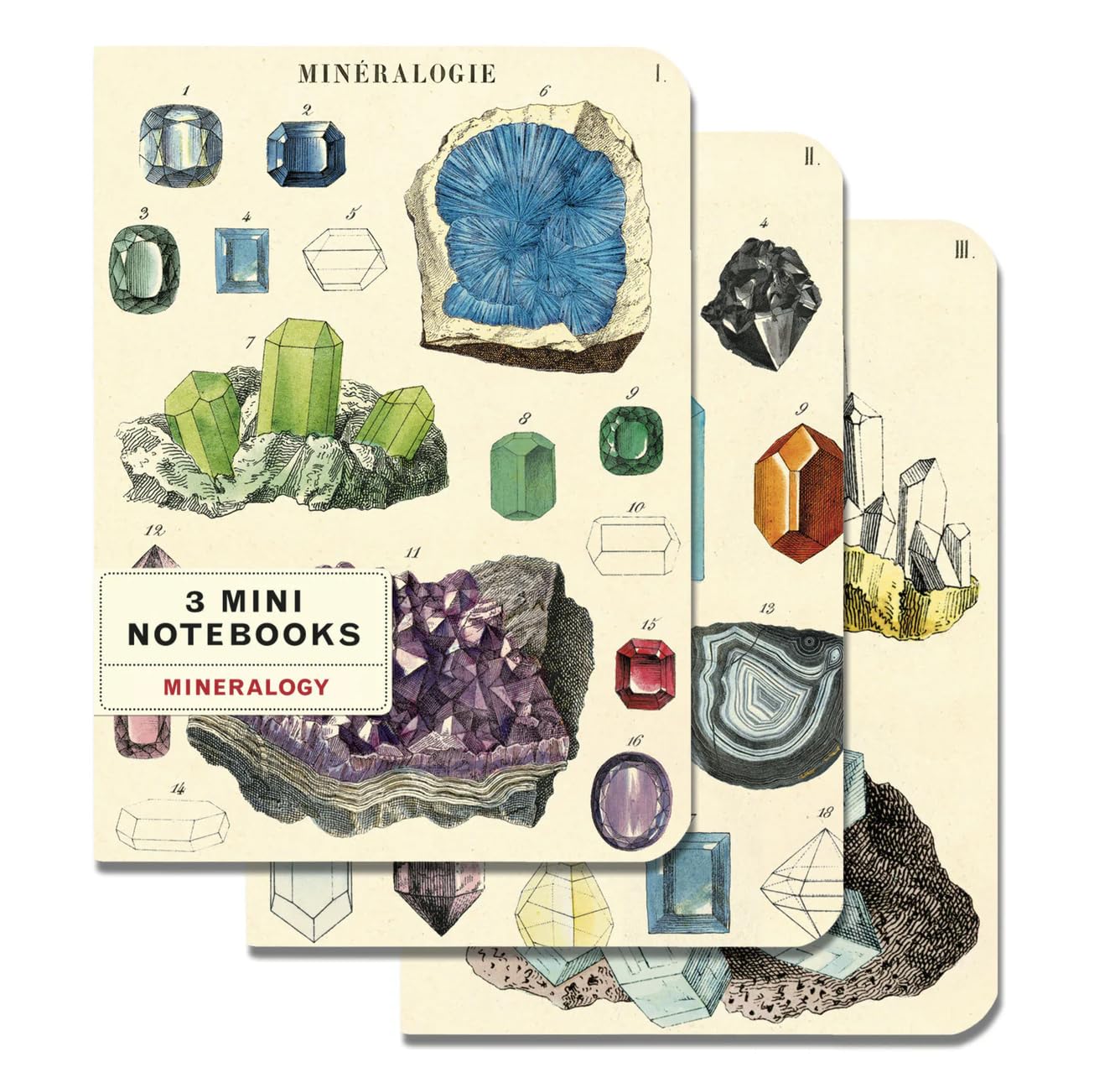 Cavallini & Co. Multi Cavallini Papers & Co., Inc. Mineralogy Mini Notebooks 4 X 5.5