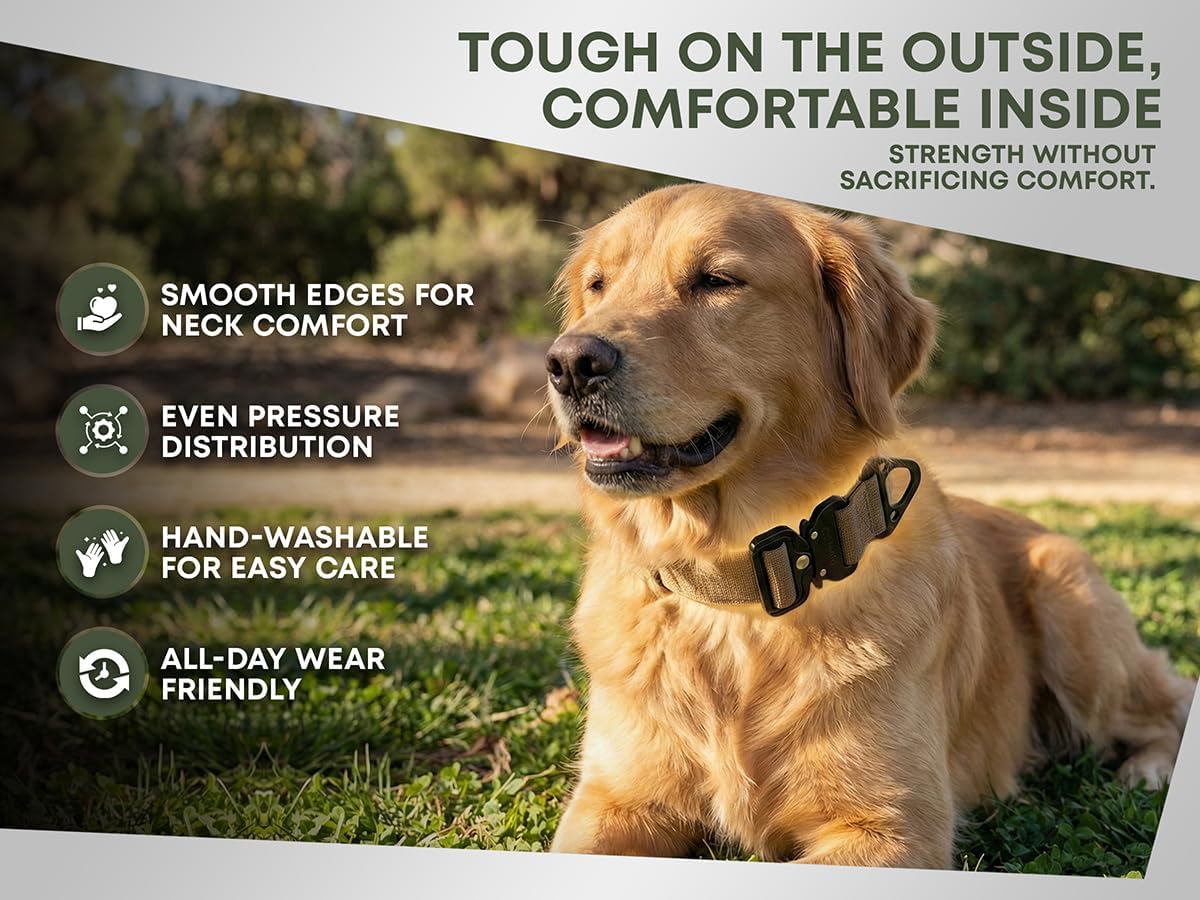 Miles Tactical Dog Collar - Heavy Duty Nylon Dog Collar with Aluminum Metal Buckle (OD Green, Large)