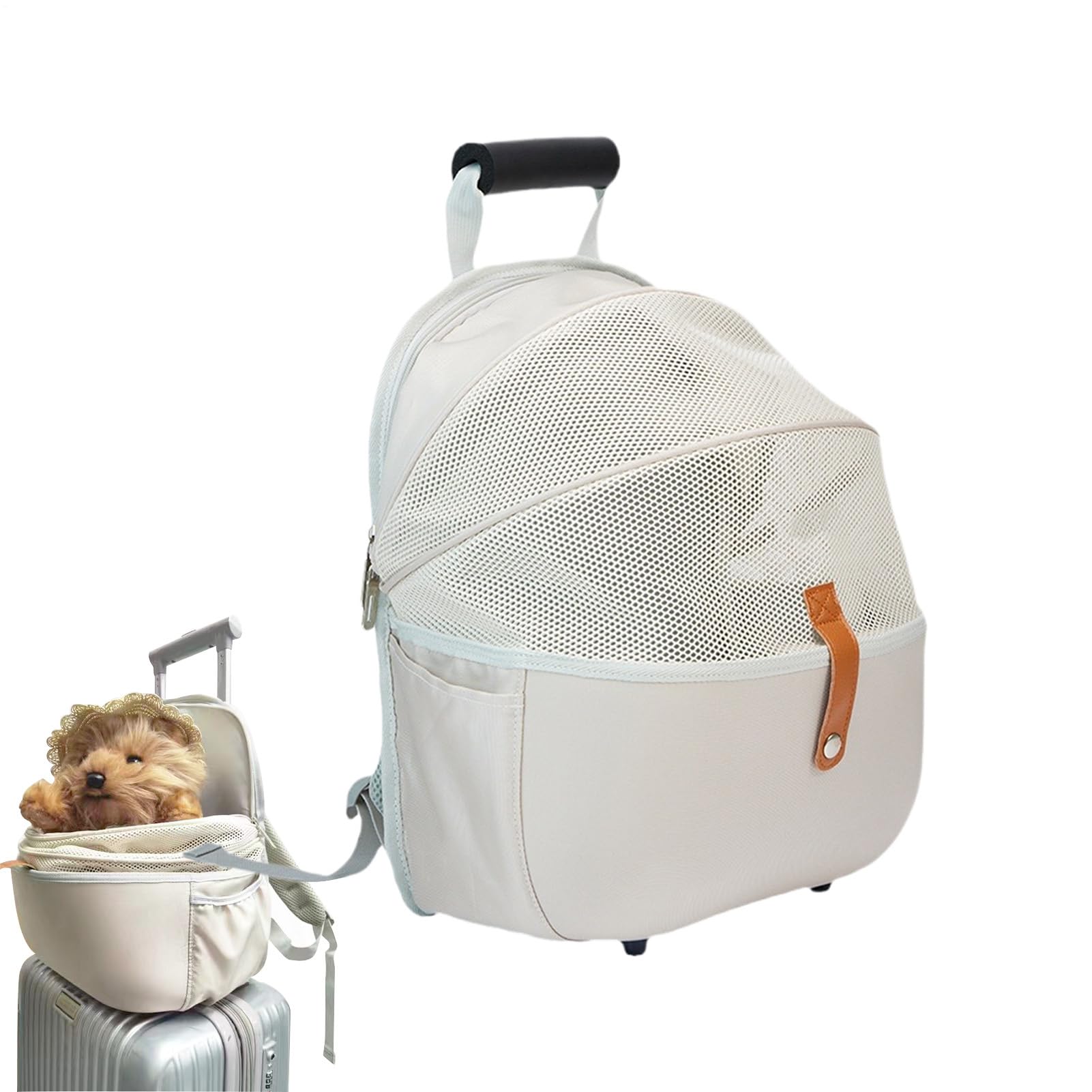 Mochila para gatos portátil: dile adiós a los transportines pesados