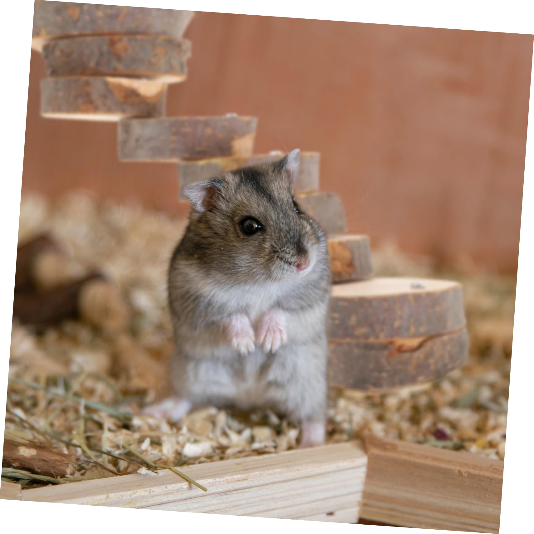 GALPADA Wooden Hamster Climbing Ladder Bird Perch for Parrots Cockatiels and Pets for Play and Exercise Stimulates Motor Skills and Decorates Cage