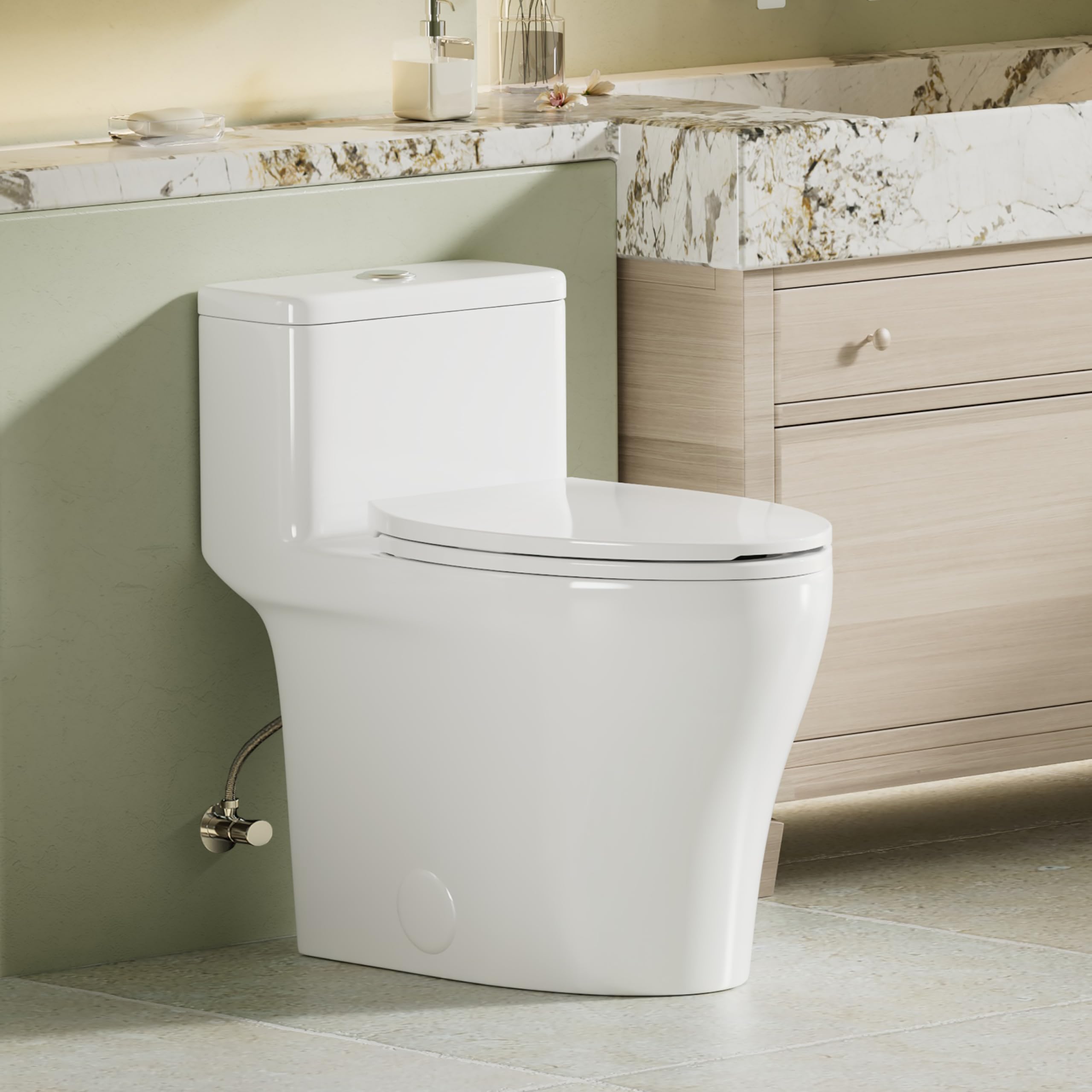 Compact One Piece Toilet - Dual Flush Elongated Toilet, ADA Height 17.33", 12" Rough-In