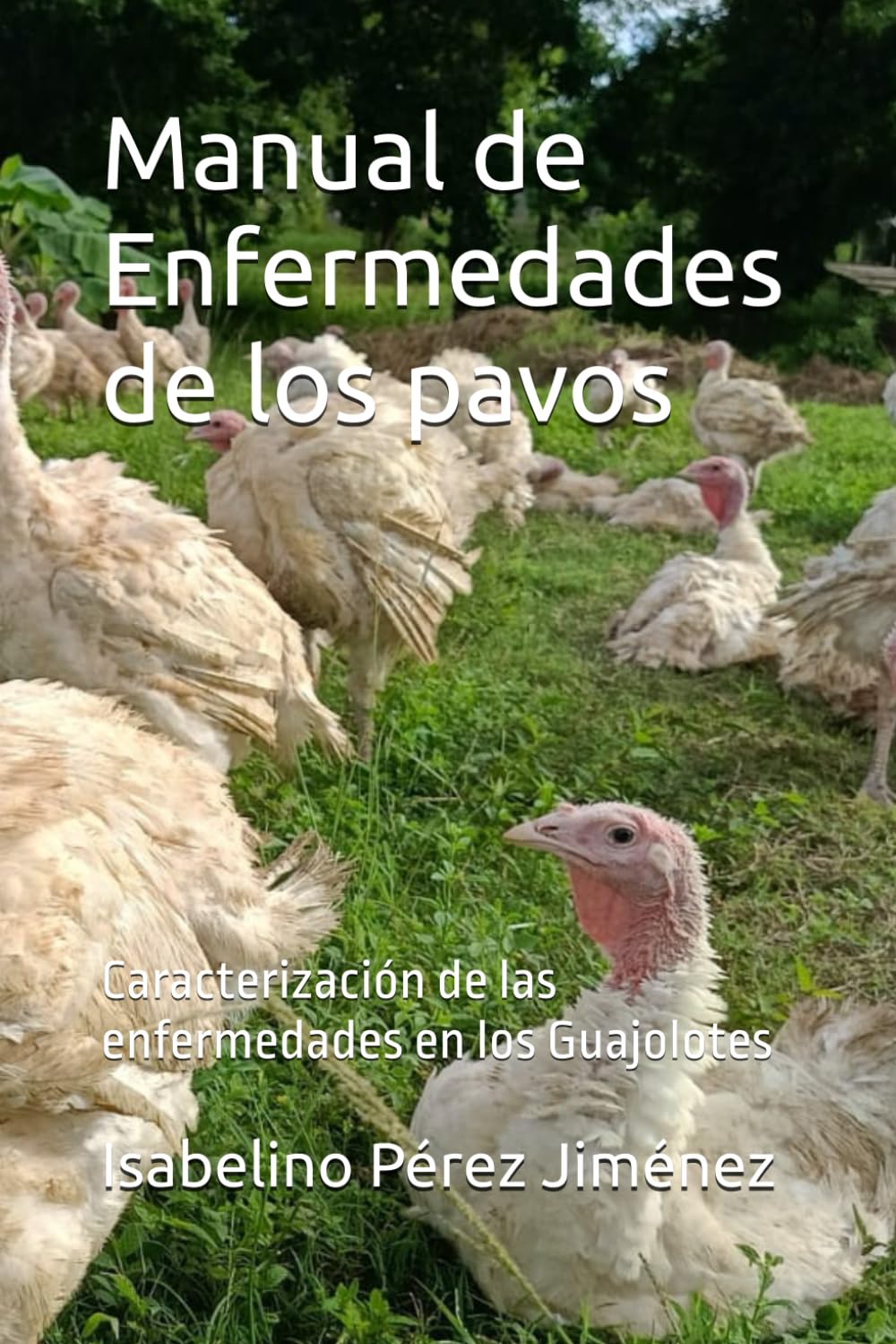 Manual de Enfermedades de los pavos: Caracterización de las enfermedades en los Guajolotes (Spanish Edition)      Paperback – January 14, 2025