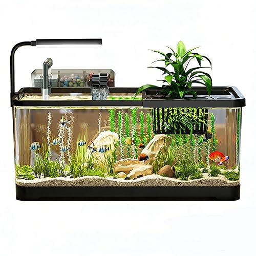 5 Gallon Fish Tank, Aquarium Plastic Starter Kit with Filter,