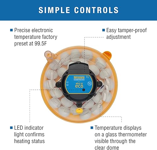 Miniatura 3 de Brinsea Maxi II Eco Incubadora manual de huevos con control electrónico de temperatura, circulación de aire asistida por ventilador para incubar 30