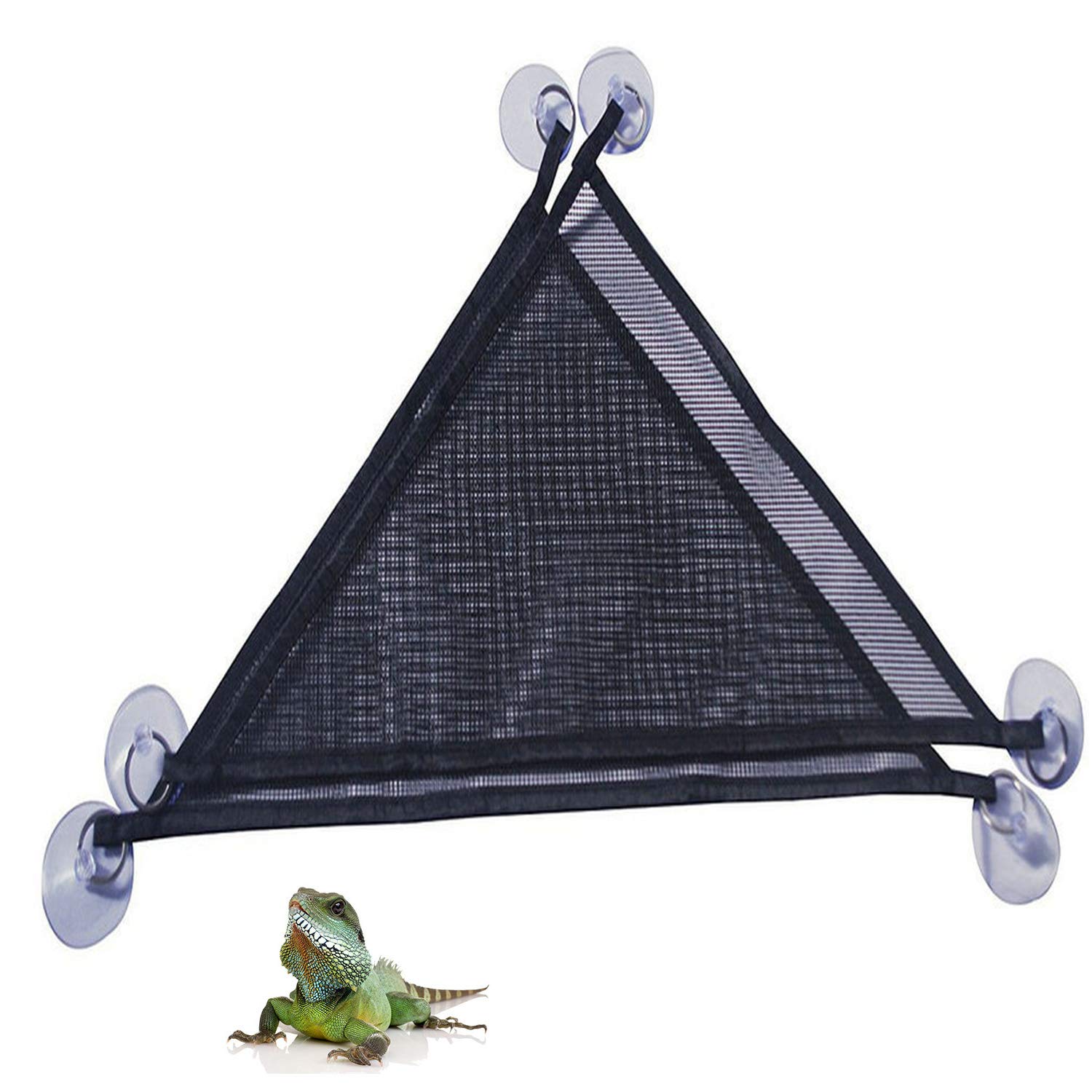 Buy Oncpcare 2 Pack of Reptile Hammock Set, Breathable Mesh Lizard