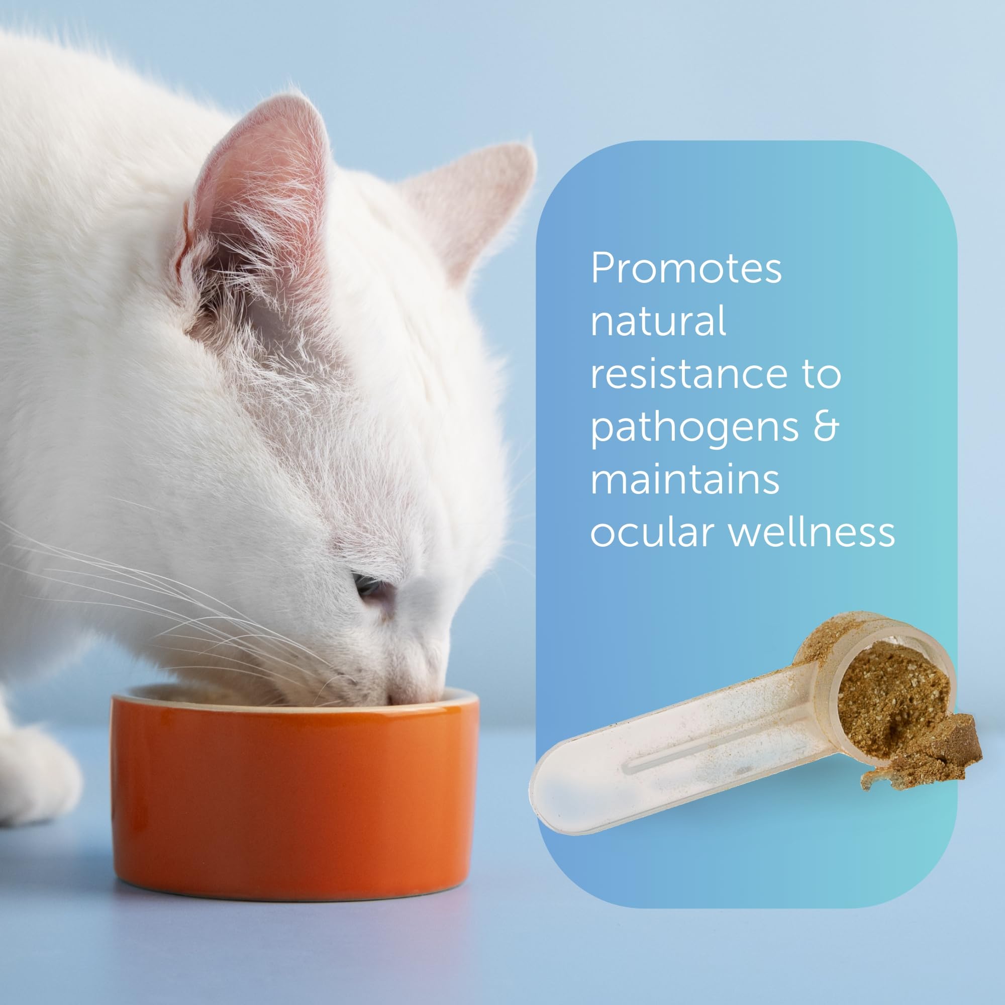 Immuno-5 Immune & Respiratory Support Powder for Cats from Veterinarian Recommended Solutions with L-Lysine, Omega-3 & Egg Yolk — Amazon image 3