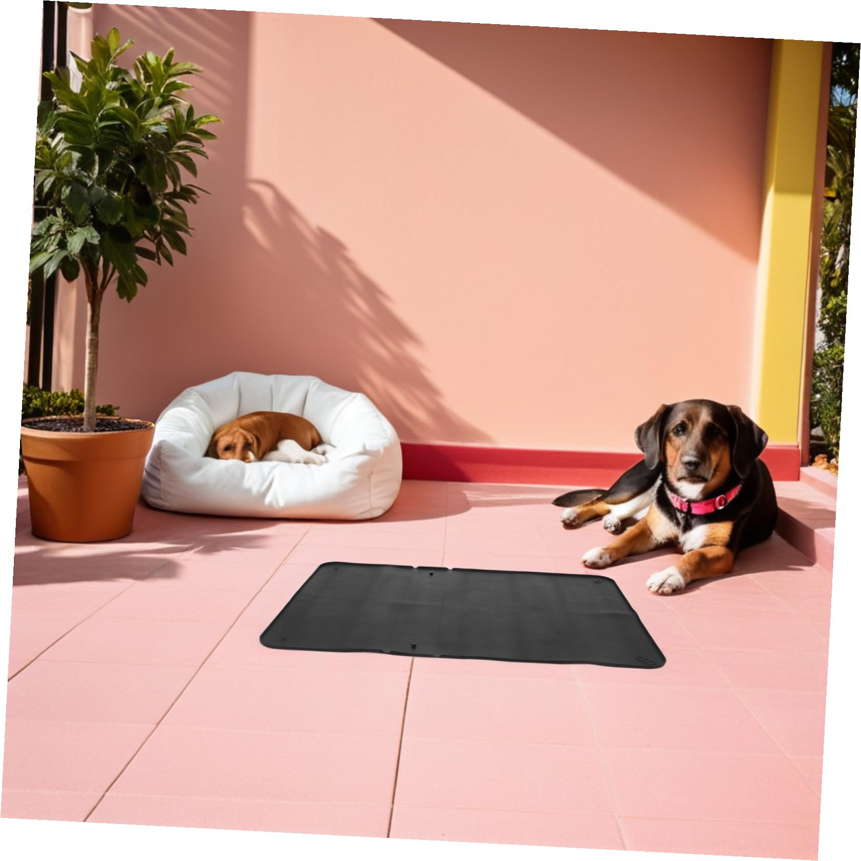 Porta Traversina in Silicone Nero per Lettiera per Cani 60x90, Antiscivolo e Flessibile, per Addestramento Cuccioli e Protezione Pavimenti