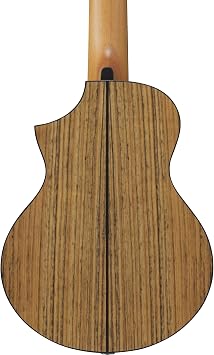 Ibanez EWP14WB-OPN EWP Series Acoustic Guitar