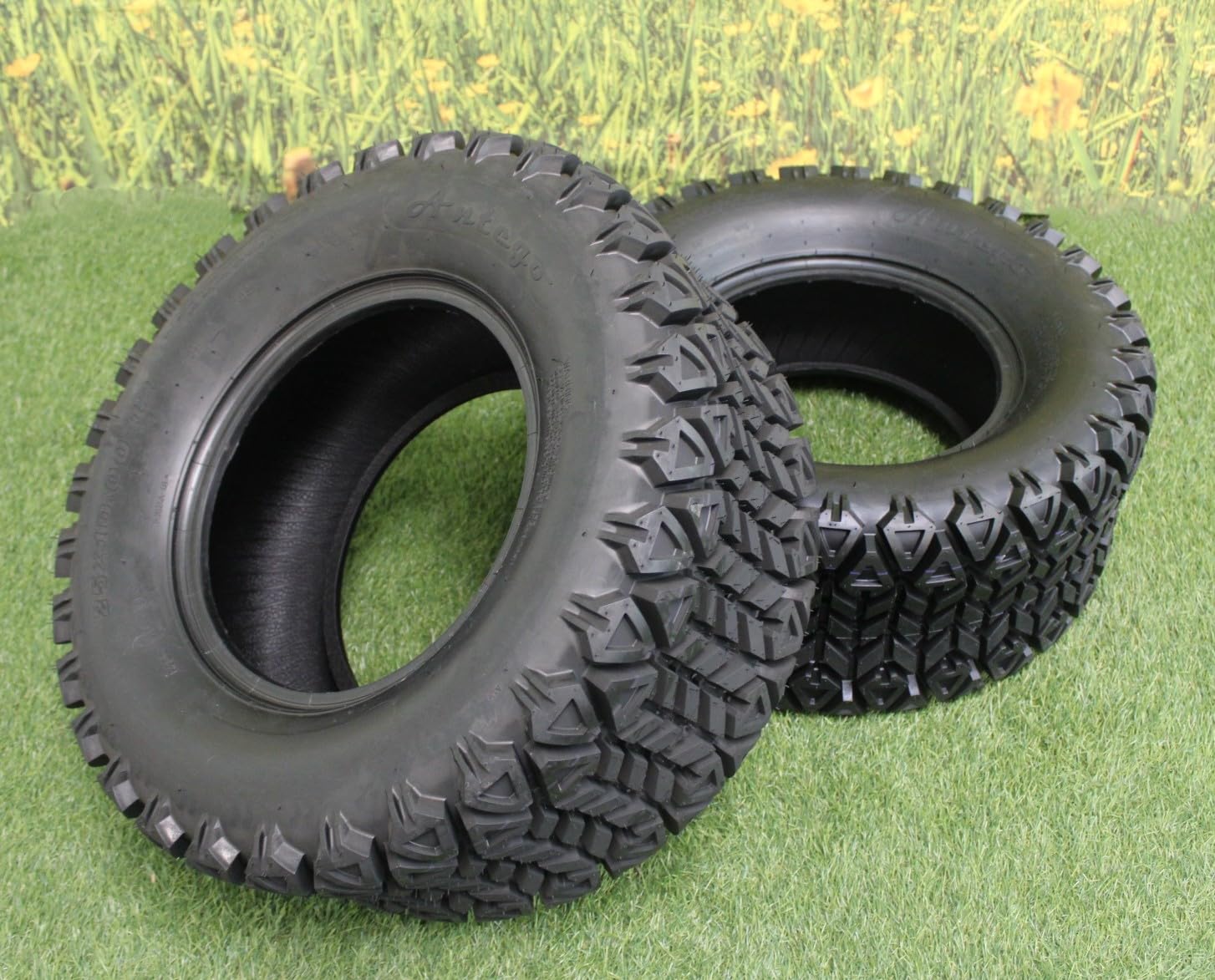 Amazon.com: Antego 25x10.00-12 ATW-045 ATV/UTV Tire Only, 6 Ply