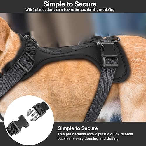 Miniatura 6 de Arnés ligero para perro sin tirones: arnés ajustable y duradero de malla transpirable para mascotas con cojín suave y cómodo, para perros pequeños