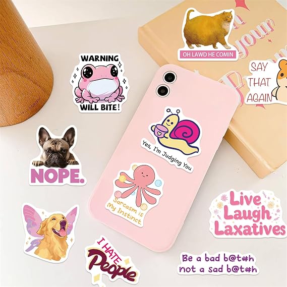 100PCS Pink Meme Stickers for Adults & Women, Pink Funny Waterproof Stickers for Water Bottles Laptop Scrapbooking Computer Cars Hard Hat, DIY Décor for Bumper Accesory (MEMEpink)