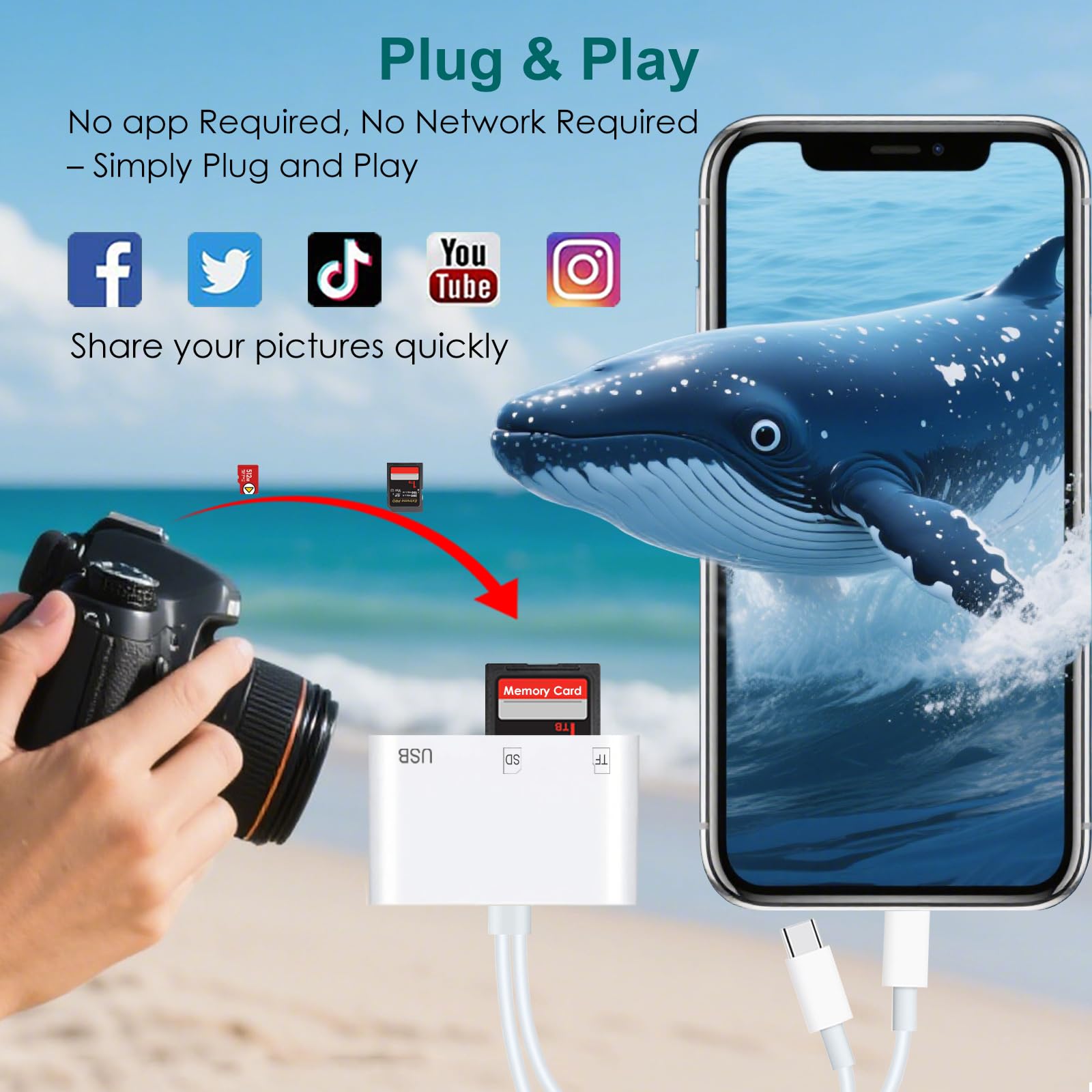 https://m.media-amazon.com/images/I/71t8j7n9X9L.jpg