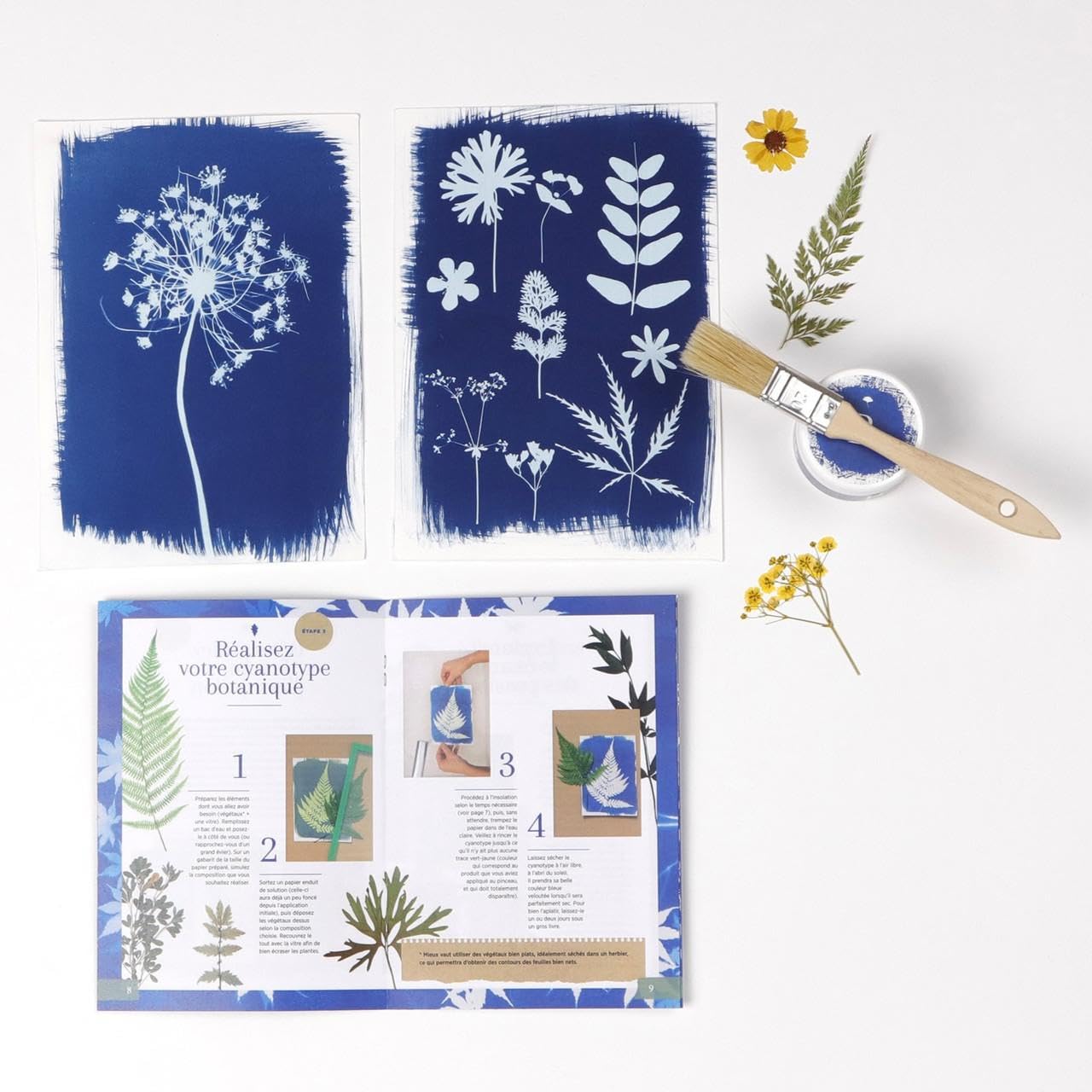 Clairefontaine 97719C Kit Cyanotype - 10 Feuilles de Papier Cyanotype A5 - Kit d'Impression Solaire - Technique photographique - Papier d'impression Soleil A5 - Loisirs Créatifs - Travaux Manuels