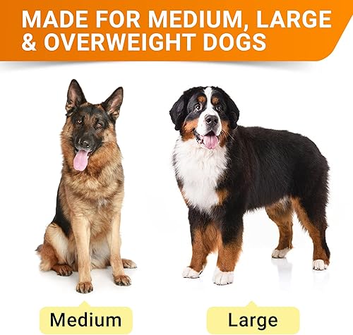 Miniatura 2 de Glucosamina para perros grandes - Suplemento articular de raza grande con aceite de pescado Omega-3 - condroitina MSM - Masticables de movilidad