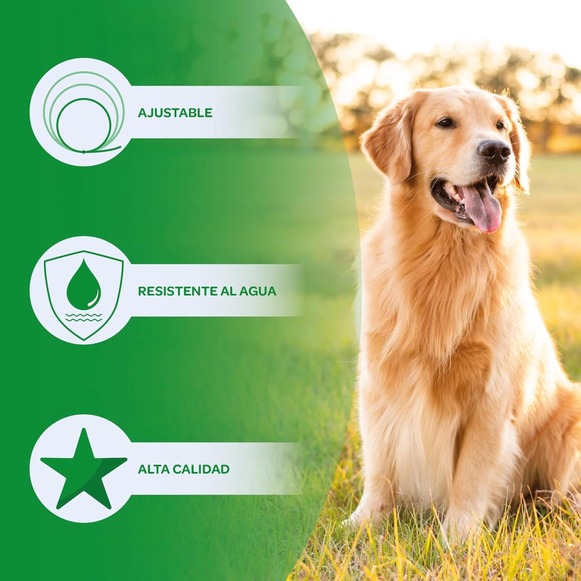 Collier Antiparasitaire pour Chiens, Gris, 70cm | Efficace contre Puces, Tiques, Moustiques et Poux, Résistant à l'Eau, Réglable, Protection de 8 Mois