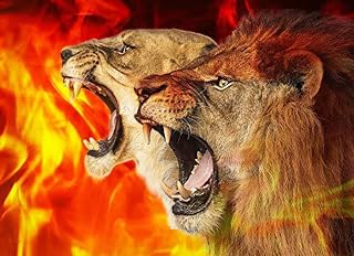 Stand & R-O-A-R Lion & Lioness - II Worship Flag - L-SIZE (51"x40) - Telescopic Pole - (Single - 1 flag)