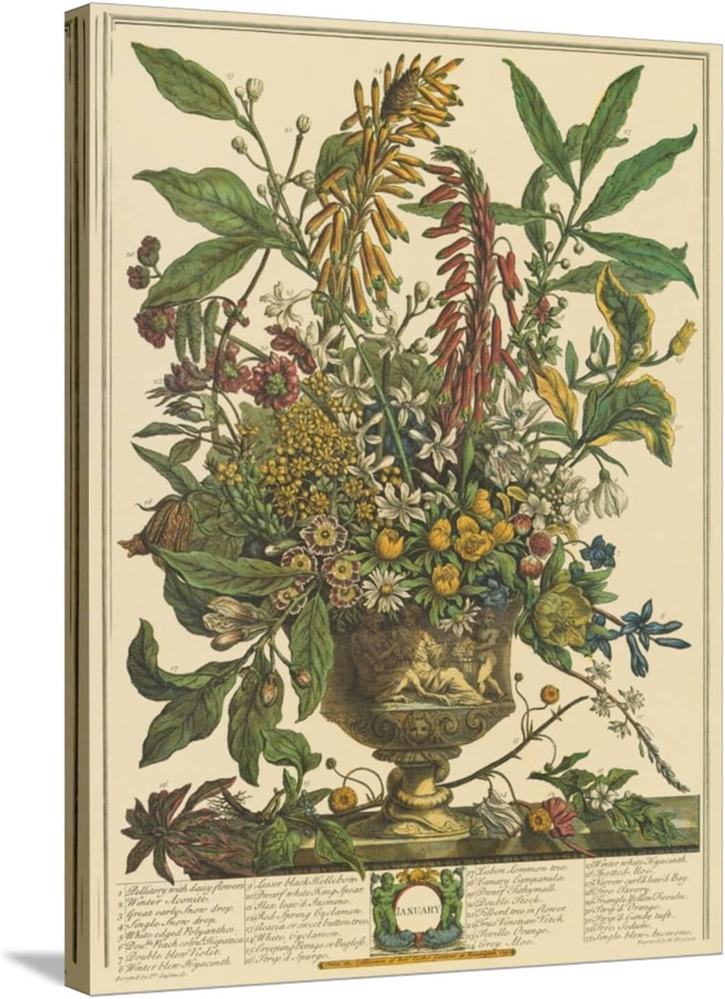 ART.COM Wall Art Print January by Robert Furber, 18" x 24"