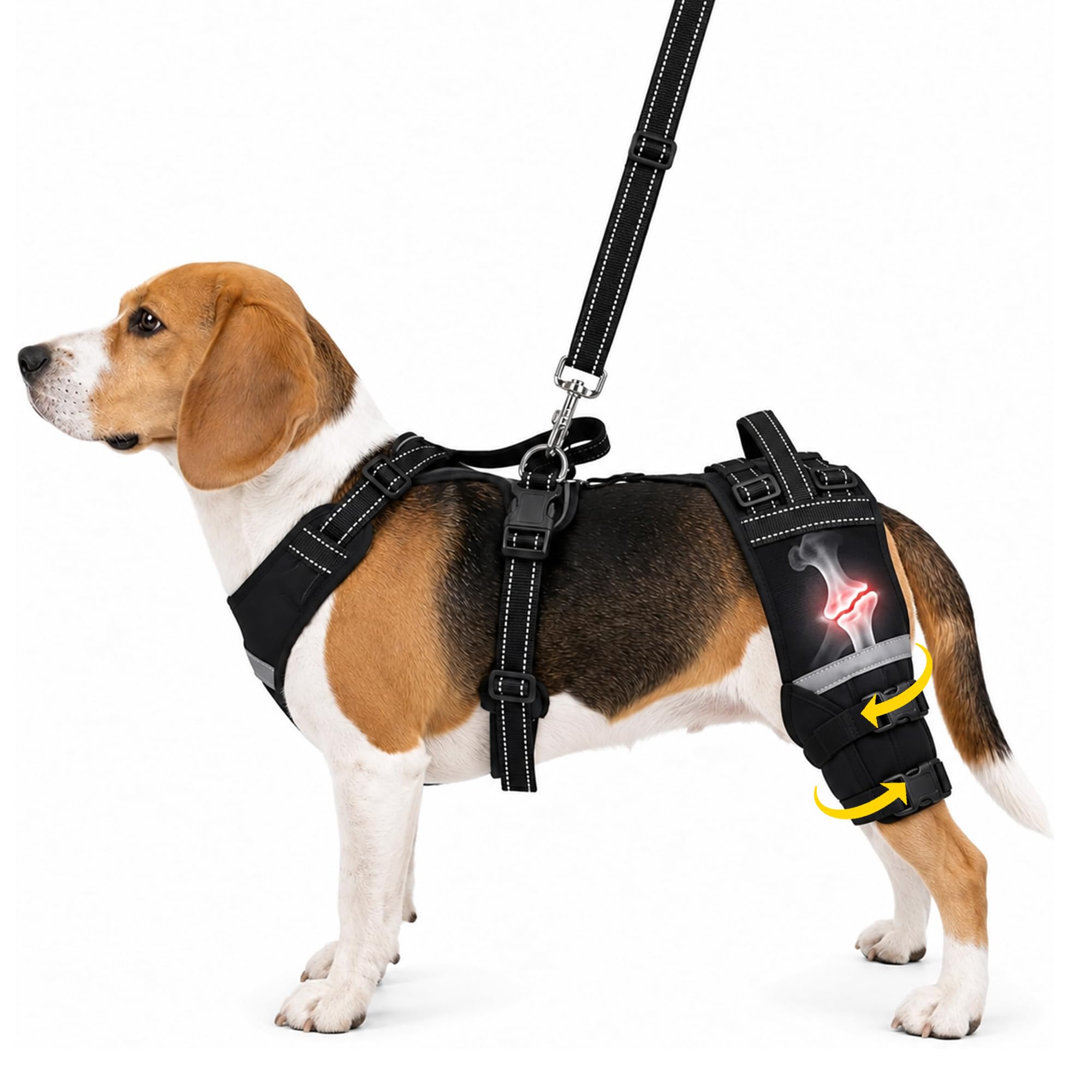 Photo 1 of ALYBIT Dog Hip Support Brace-Adjustable Dog Leg Brace for Back Leg with Lift Strap for Hip Dysplasia Arthritis Pain Relief (L)