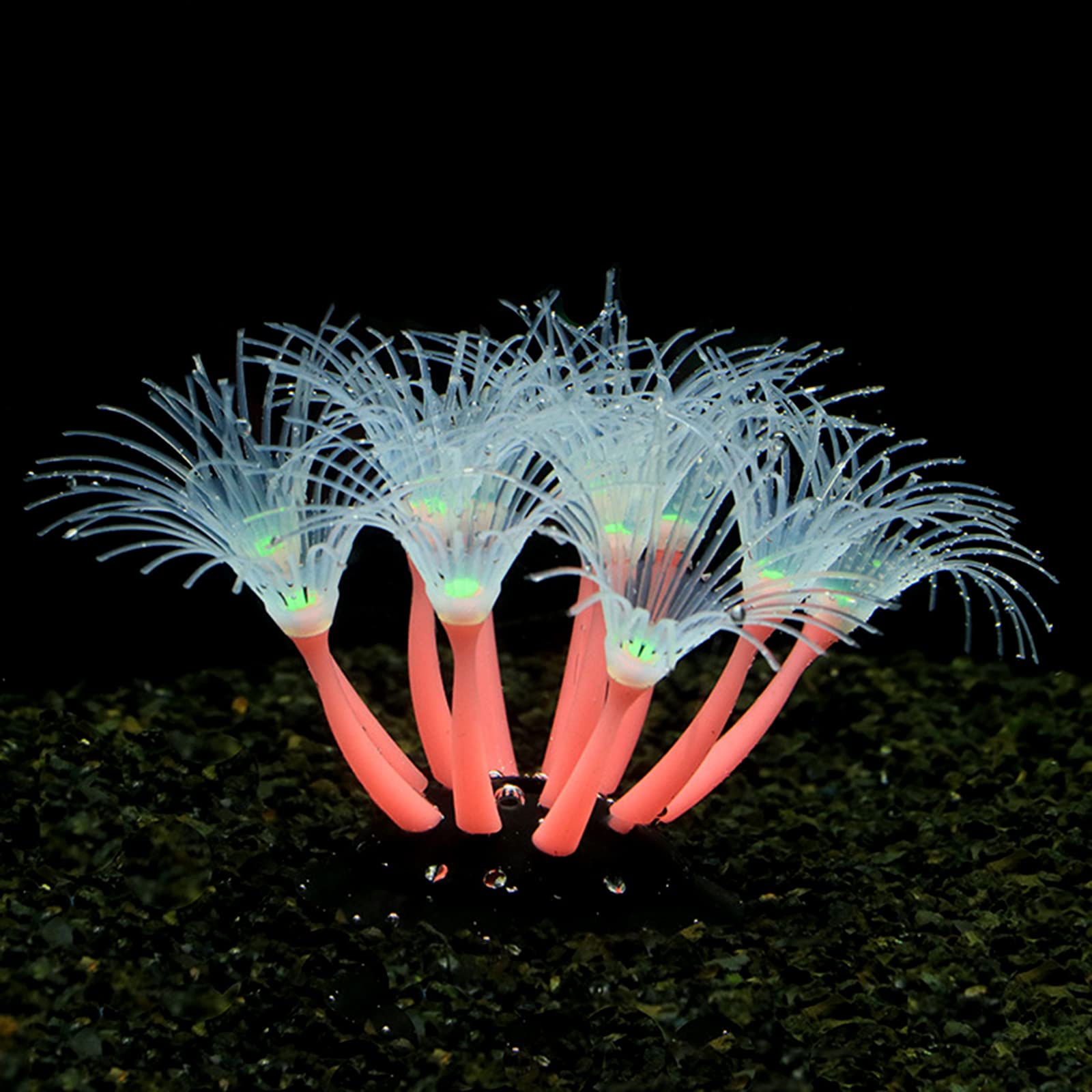 Corail artificiel lumineux en silicone pour aquarium, terrarium phosphorescent, faux corail ornement plante