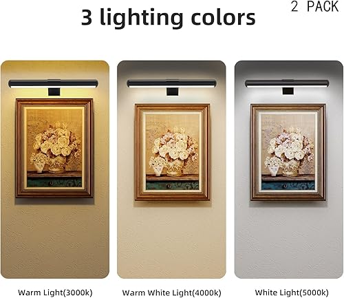 Miniatura 3 de Paquete de 2 luces de fotos recargables con control remoto, luz de pintura para imagen, luz de arte de metal completo regulable, luz de imagen de