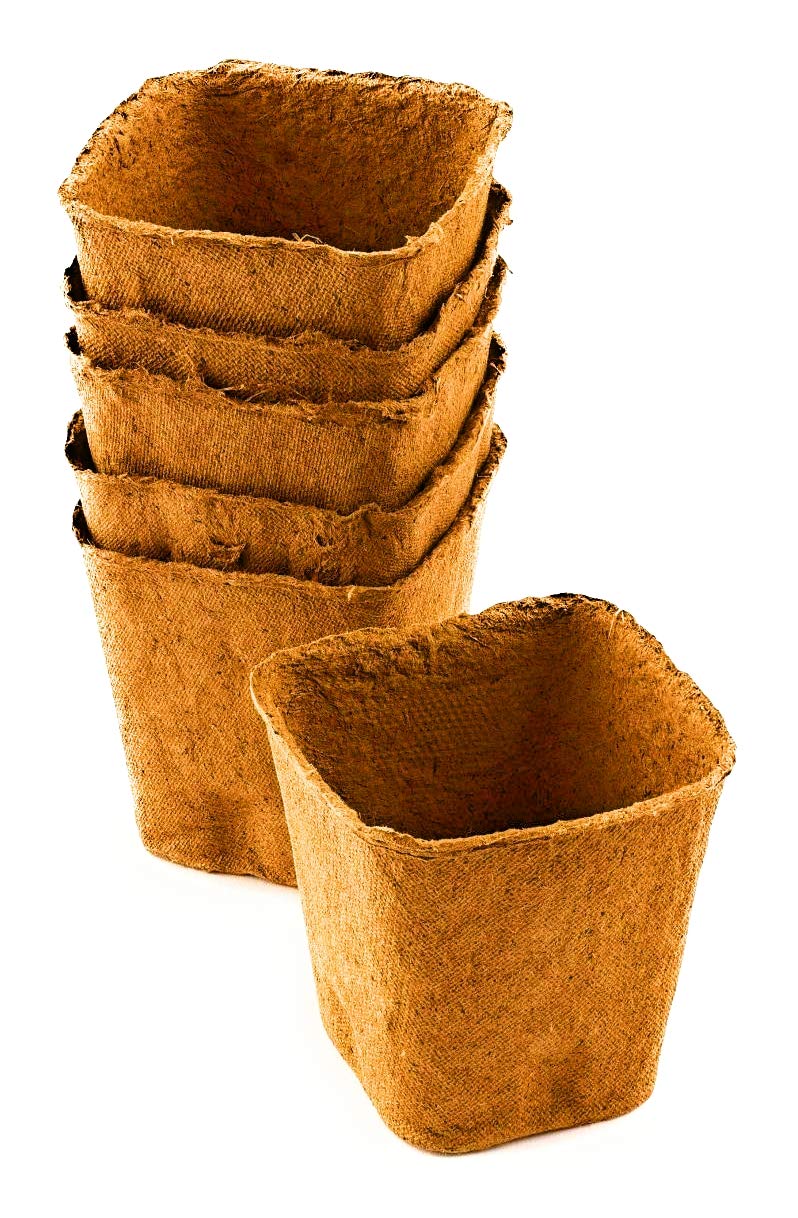 See full amazon price history chart for COIR GARDEN Plastic Coir 6 inch Pot - 10 Nos, Coco Basket for Gardening Plants and Flowers, Planters - Multicolour COIR GARDEN Plastic Coir 6 inch Pot - 10 Nos, Coco Basket for Gardening Plants and Flowers, Planters - Multicolour (B07M5PBPP9) Amazon Price History, Amazon Price Tracker