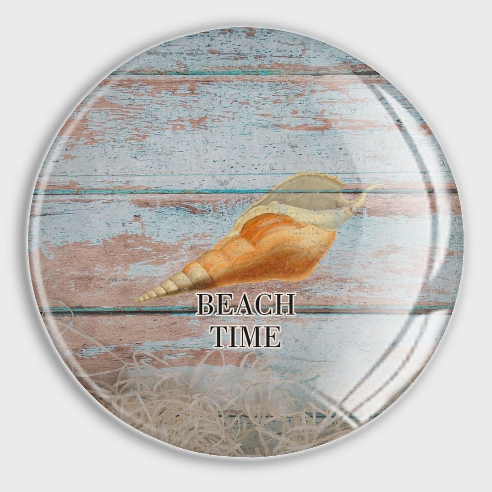 Aimants de réfrigérateur escargot de mer pour fixer vos notes sur tableau blanc