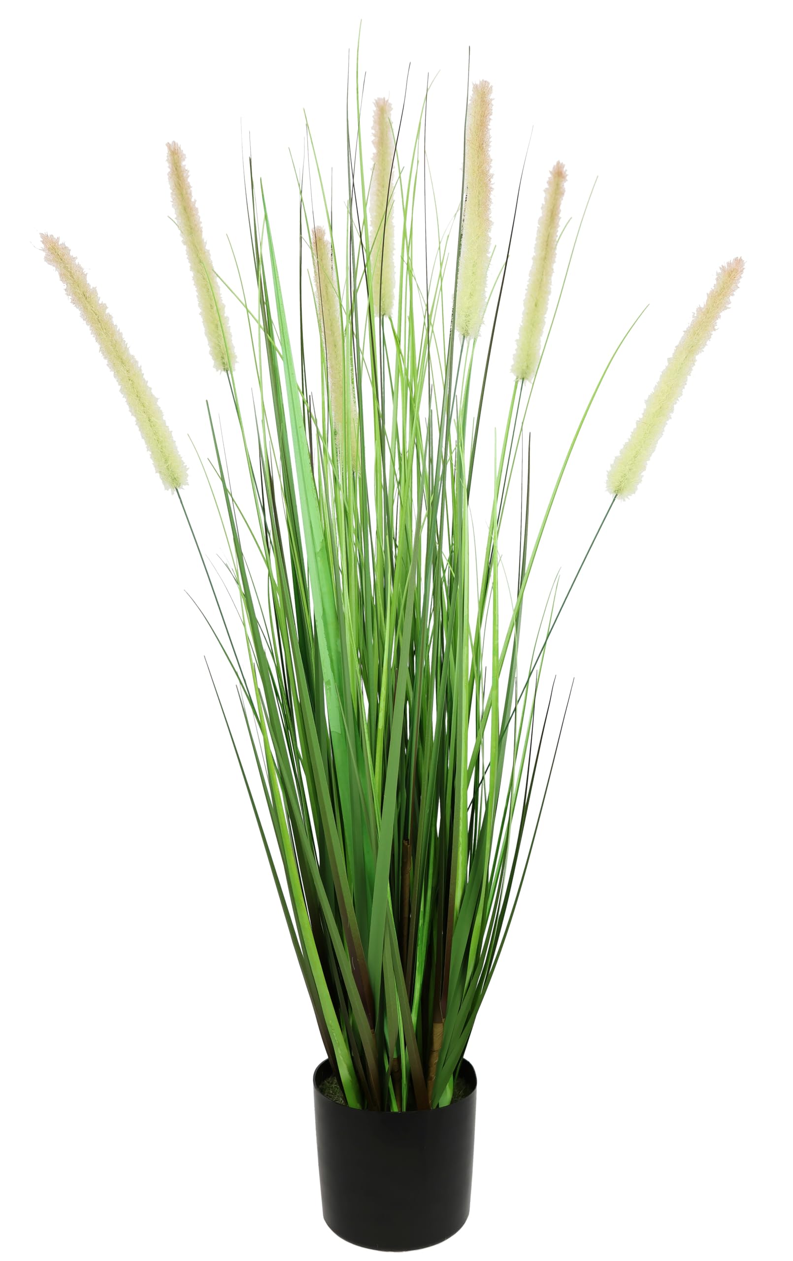 Graminée Foxtail en pot plastique vert 85x18x18 cm fausse plante verte