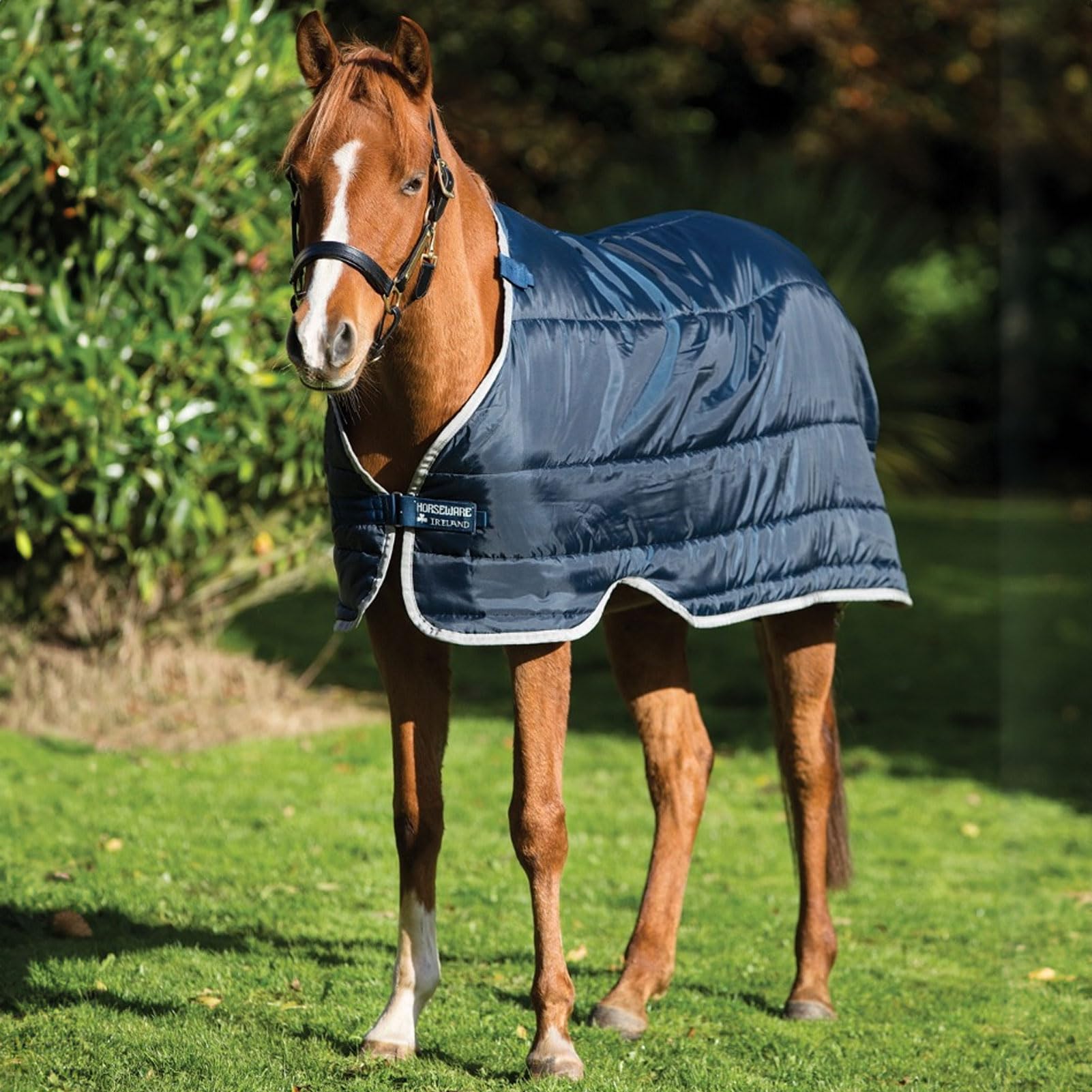 Horseware Pony Liner 100g 4-6" Navy